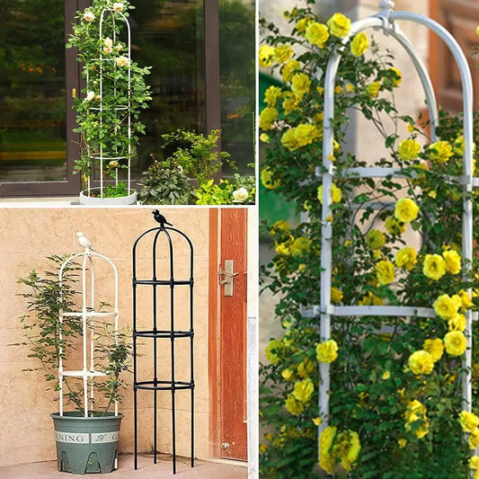 6ft Garden Obelisk Trellis for Climbing Plants-Rustproof Metal Pipe with Heavy Duty Plastic Coated, Garden Outdoor Indoor Potted