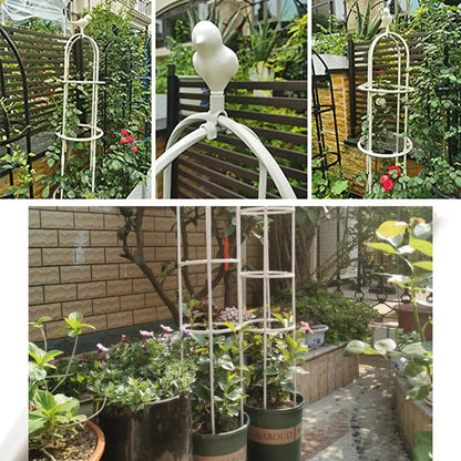 6ft Garden Obelisk Trellis for Climbing Plants-Rustproof Metal Pipe with Heavy Duty Plastic Coated, Garden Outdoor Indoor Potted