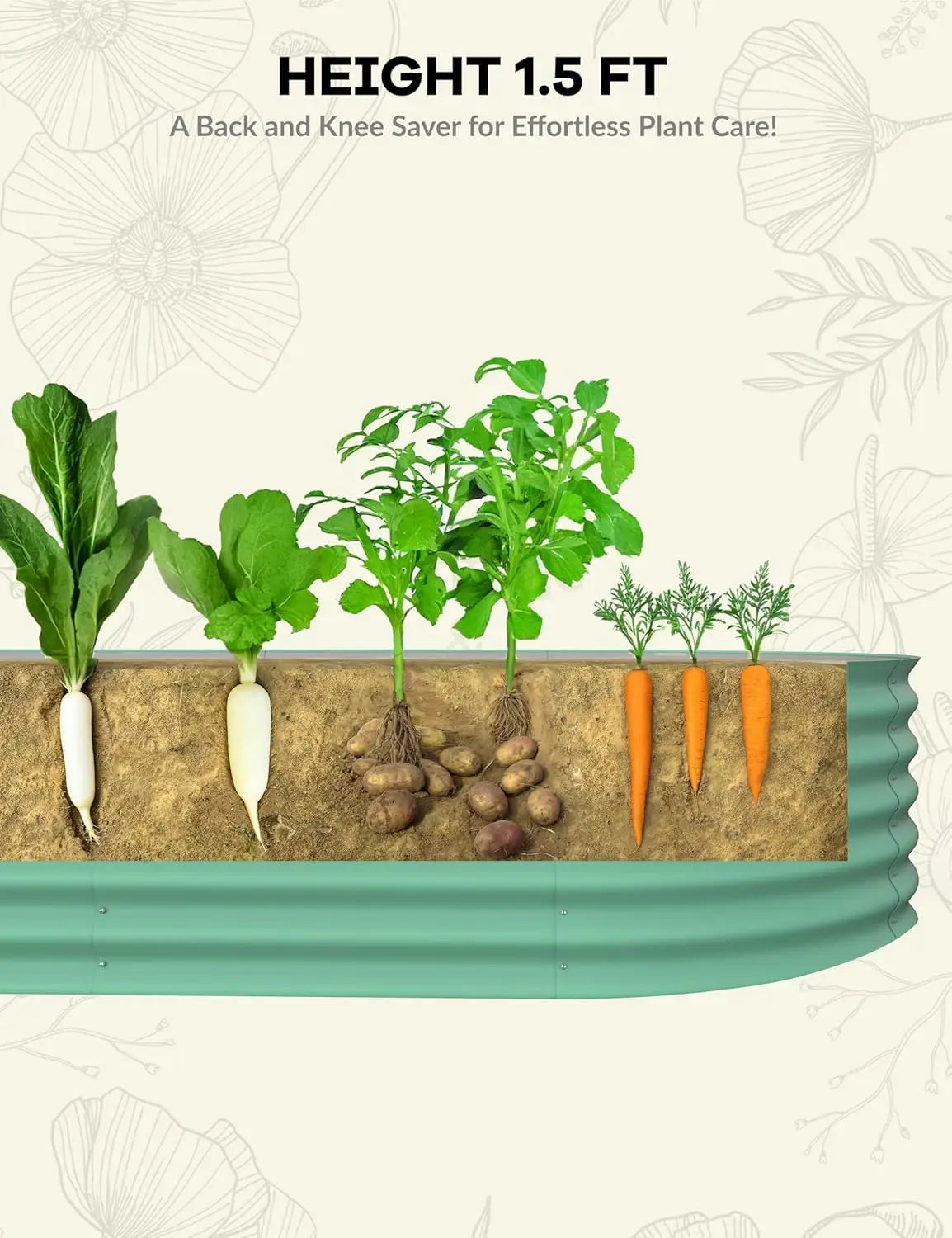 Gardening bed with plants and vegetables, height 1.5 ft, on a light background