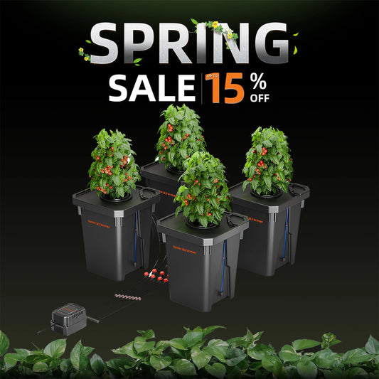 Spider Farmer 7-Gallon DWC Hydroponic System Grow Kits + Air Pump with 4 Buckets