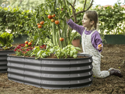 Galvanized Raised Garden Beds Outdoor // 4×2×1 ft (2-Pack) Planter Raised Beds for Gardening, Vegetables, Flowers // Large Metal