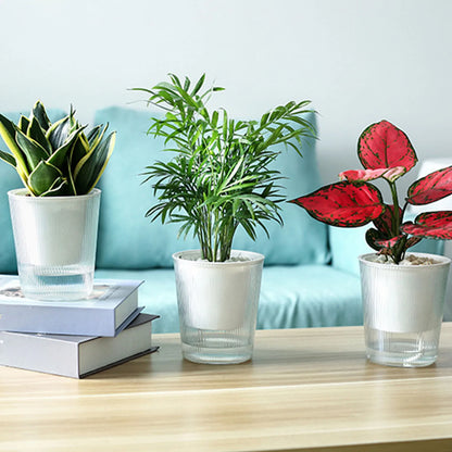 Clear Self Watering Planters Pots Household Anti Rot Self-Watering Planters for Living Room Plants Flowers