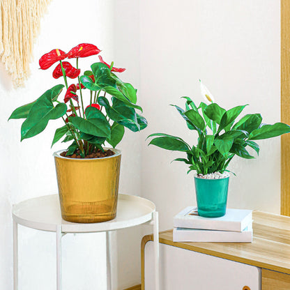 Clear Self Watering Planters Pots Household Anti Rot Self-Watering Planters for Living Room Plants Flowers