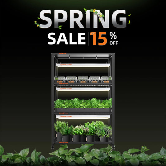 Spider Farmer SF600 Growshelves LED Grow Light 3-Layer W/Metal Plant Stand Trays for Indoor Veg Flower Plants Hydroponics