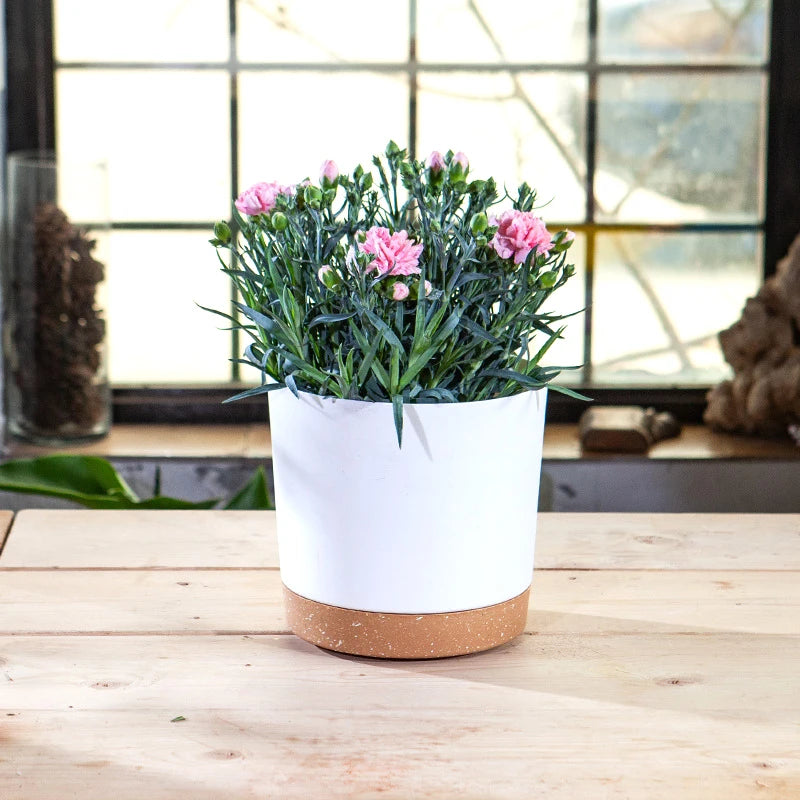 Plant Pot Large Plastic Flowerpot with Drainage Indoor Plants Bonsai Balcony Potted with Tray Garden Home Decoration