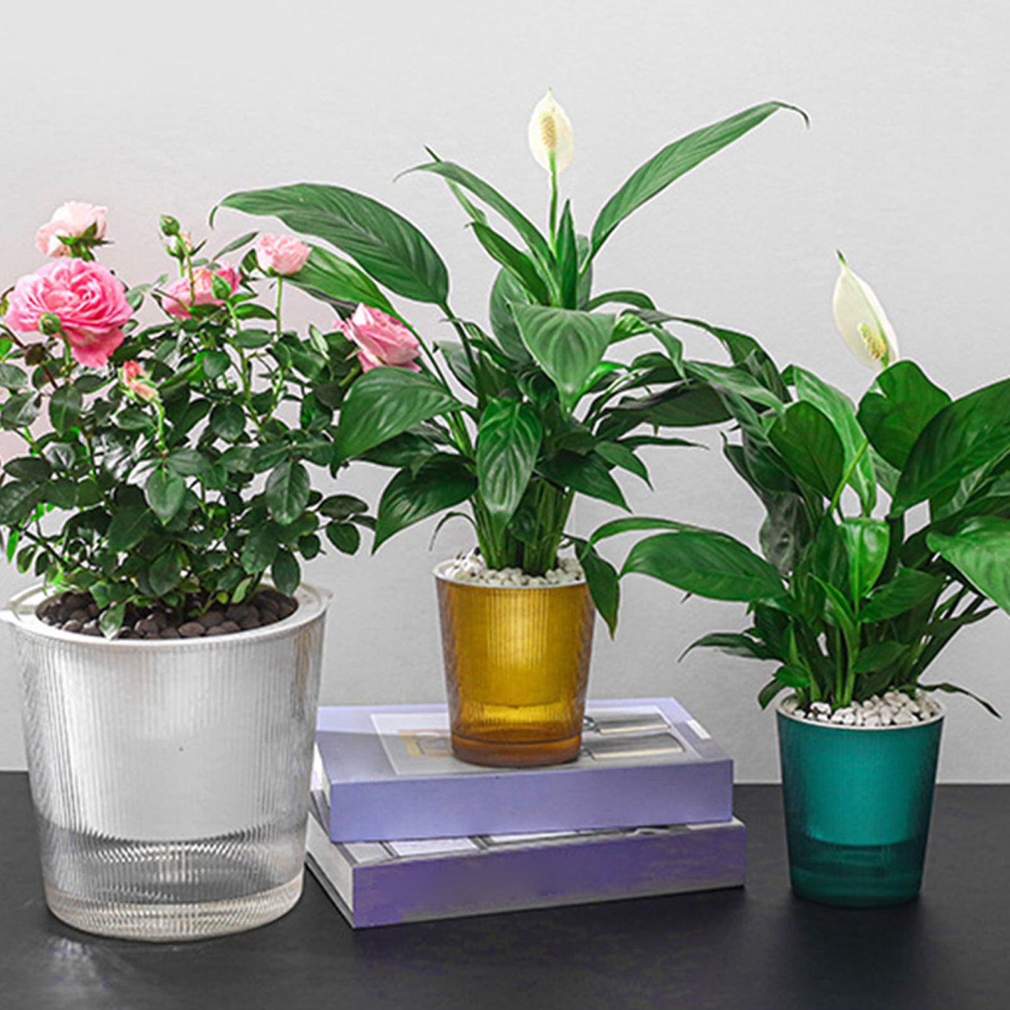 Clear Self Watering Planters Pots Household Anti Rot Self-Watering Planters for Living Room Plants Flowers
