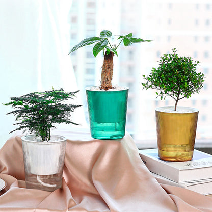 Clear Self Watering Planters Pots Household Anti Rot Self-Watering Planters for Living Room Plants Flowers