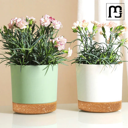 Plant Pot Large Plastic Flowerpot with Drainage Indoor Plants Bonsai Balcony Potted with Tray Garden Home Decoration