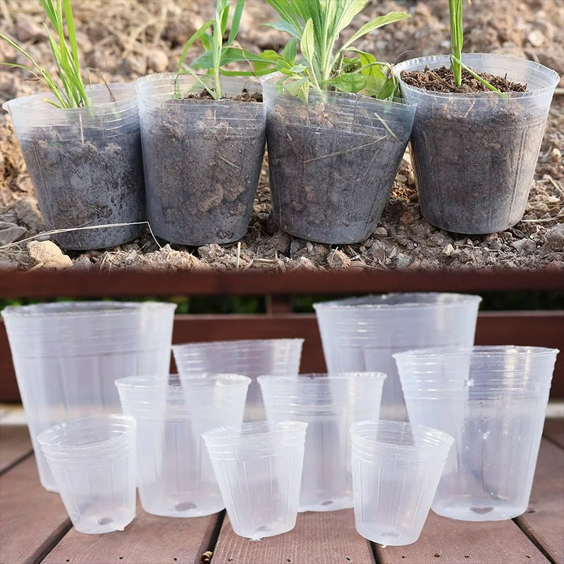 10/50pcs Transparent Nursery Pots with Drainage Hole Seed Starting Pot Flower Plant Container Gardening Planting Nutrition Cups